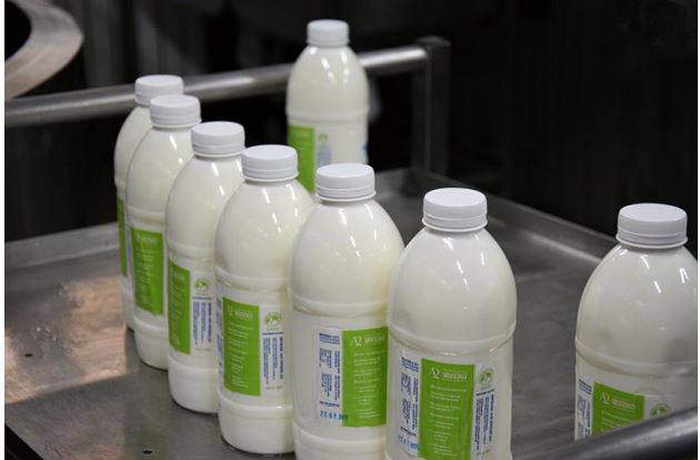 За участі науковців  НААН вперше в Україні розпочато виробництво гіпоалергенного молока А2
