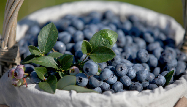 �������� ��������� ������������ ������ ���� ��������� �� �������� �������� ������� �� ����������� ������