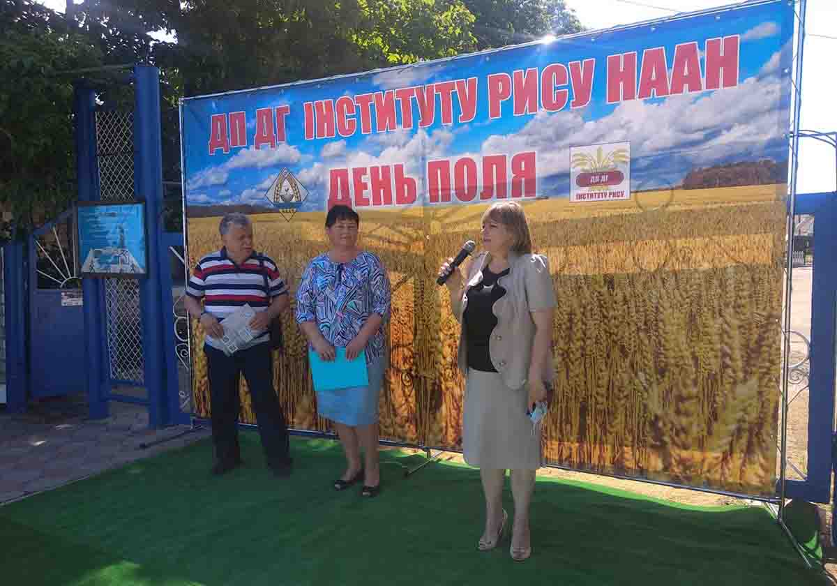 �� ��� �� ��� ��������� ���� ���� ������ ��������� ���� ���� 