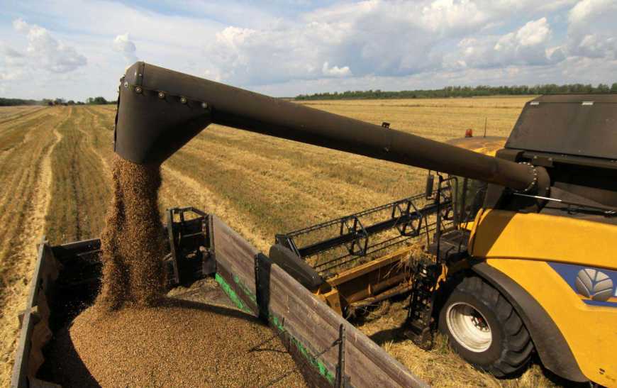 Жнива-2019: В Україні зібрано майже 9 млн тонн озимої пшениці