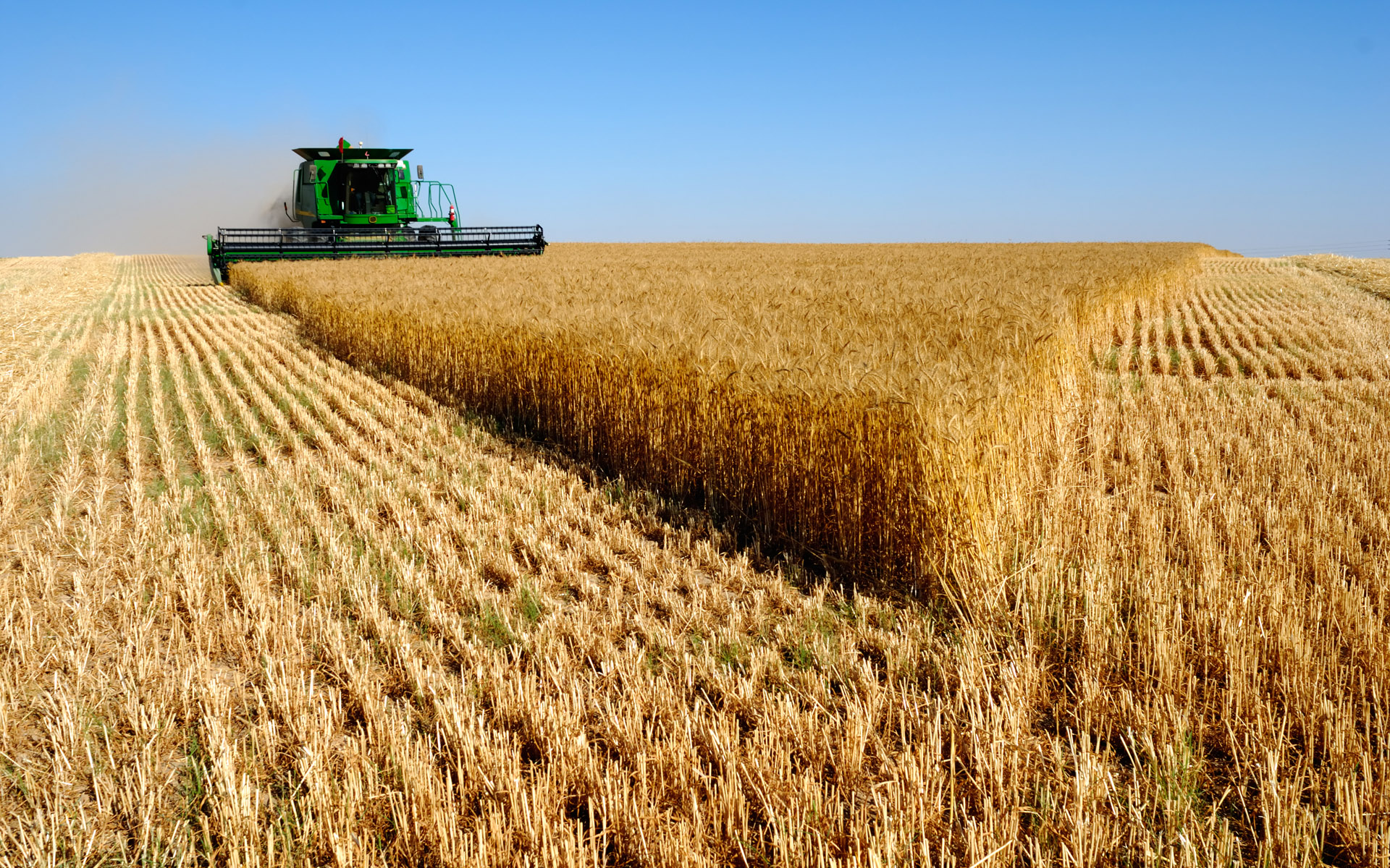 В Україні вже зібрали майже 33 млн тонн зерна