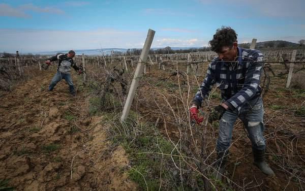 ���� � ������ ���������� ���� ��������� ������������ � �����