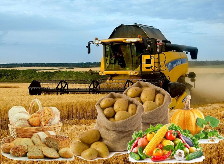 Українську аграрну продукцію купують понад 190 країн