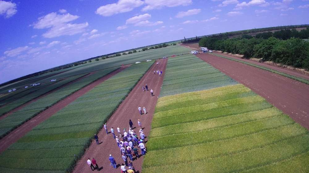 29 ������ - 21 ������� 2021: ��������� �� ��� ����!