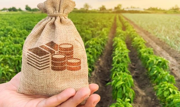 В Україні програмою здешевлення кредитів скористалися 4 тис аграріїв