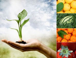 � 2018 ���� ������ ��������� ������������ ������������ �� ���� �������� ���� � �������� ������� ��������