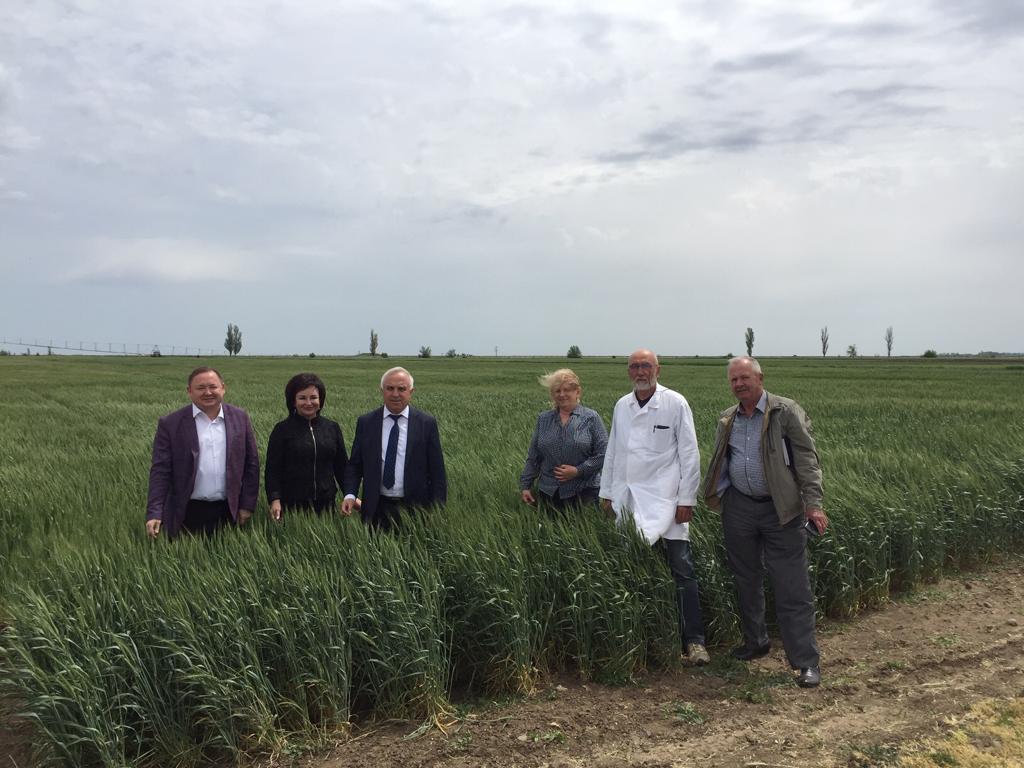 C���������� ��������� �������� � ���� ������� �� ������������� �������� �������, � ������� ���� ���������� ���� �� ��������� ����������� ������������