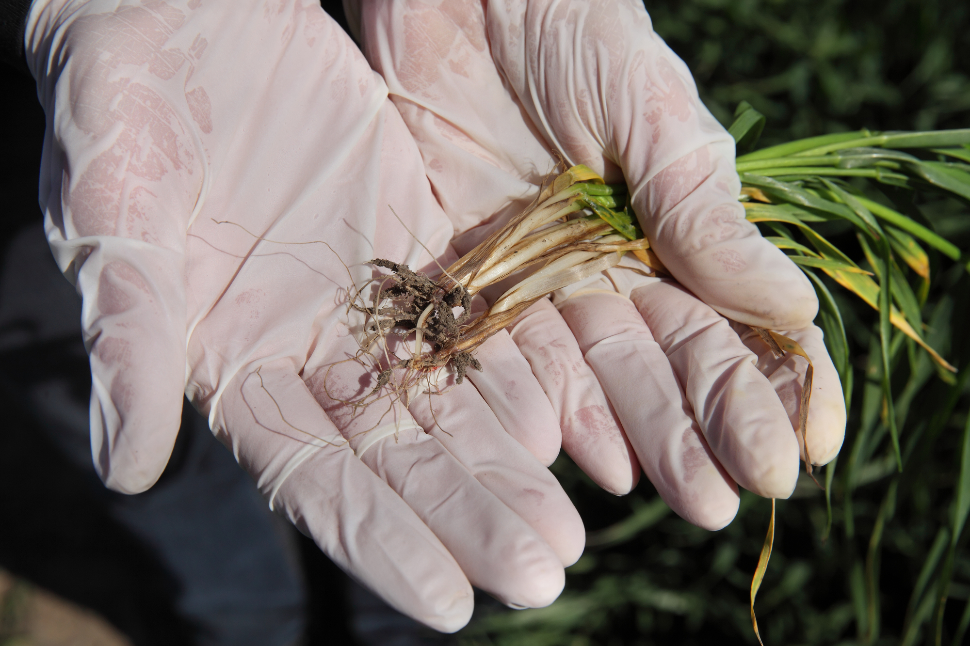 ������������ �������� �� �������� � ����������� �������� ����  � ������ ��������� ���� �� ����� ���������� ���������