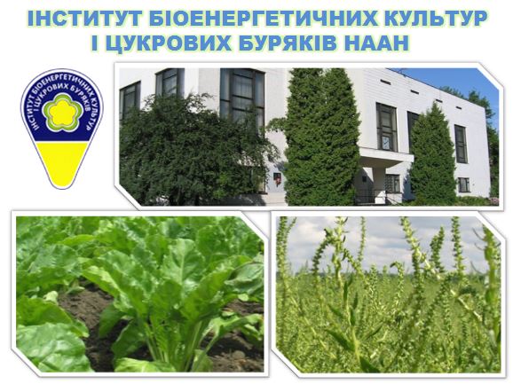 Біогаз може стати для України історією успіху, в якій будуть лише переможці, - науковці НААН про економічні, екологічні та соціальні основи виробництва і використання біопалива в Україні 