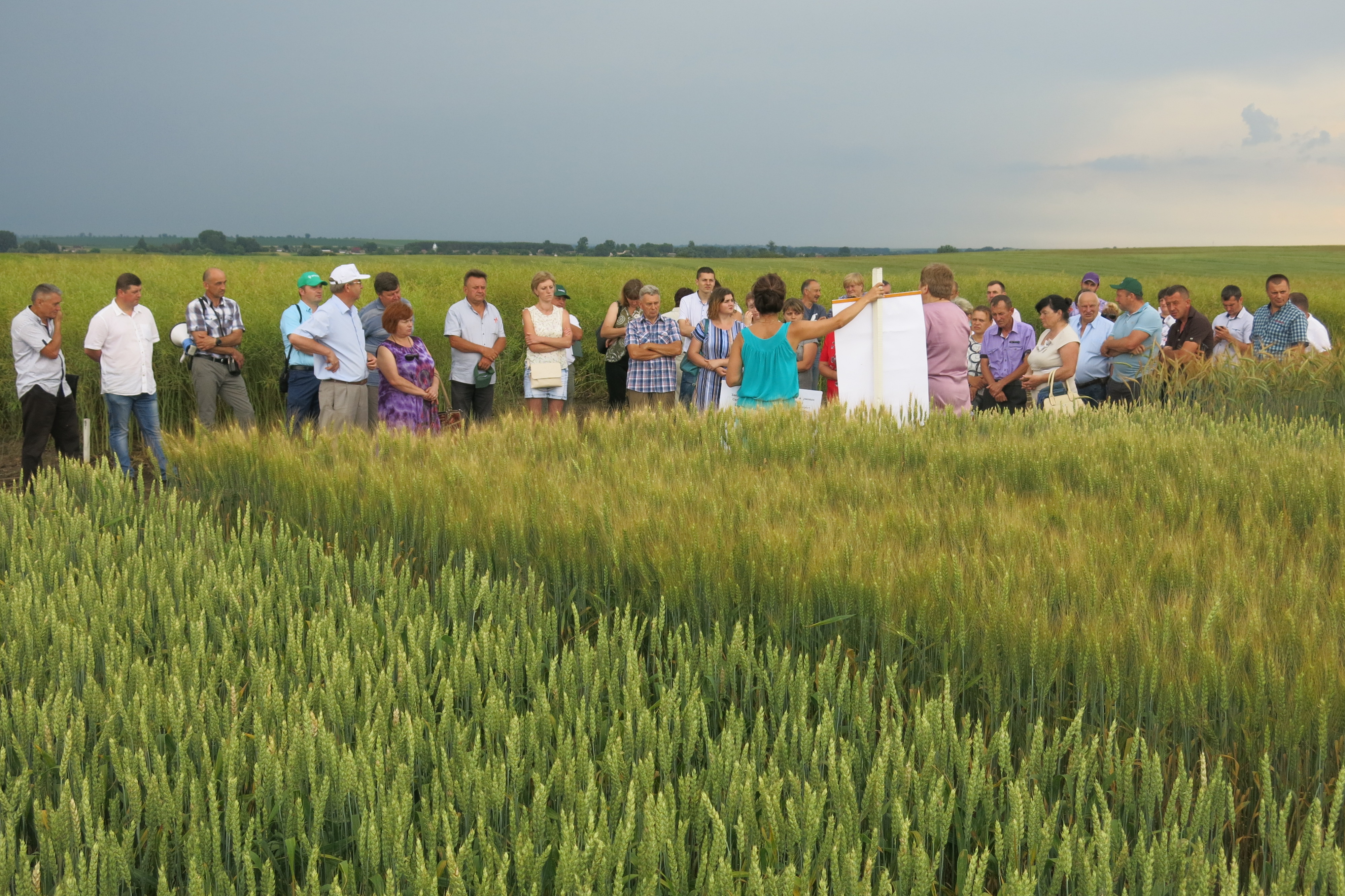 День поля -  2019 на базі Інституту сільського господарства Західного Полісся НААН