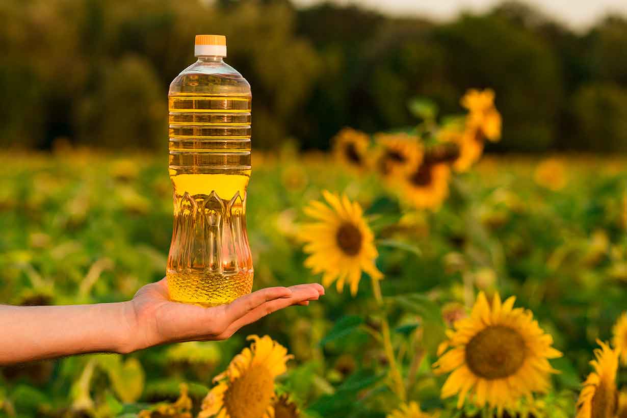Олія буде: який урожай соняшника очікують аграрії у 2022 році