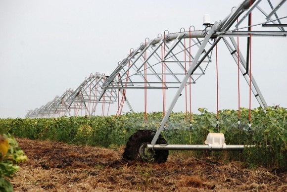 ������� �������: ³��������� ������������ ������ �������� ������� ����������� �� 135 ���� ���