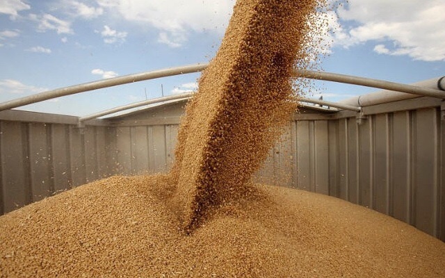 У липні Україна експортувала зерно на 421,4 млн доларів