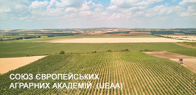 COVID-19 ������ ����� ���������� ����� ������������ �������� �������  (UEAA) ������� ̳���� ������ (Antonio Michele Stanca) 