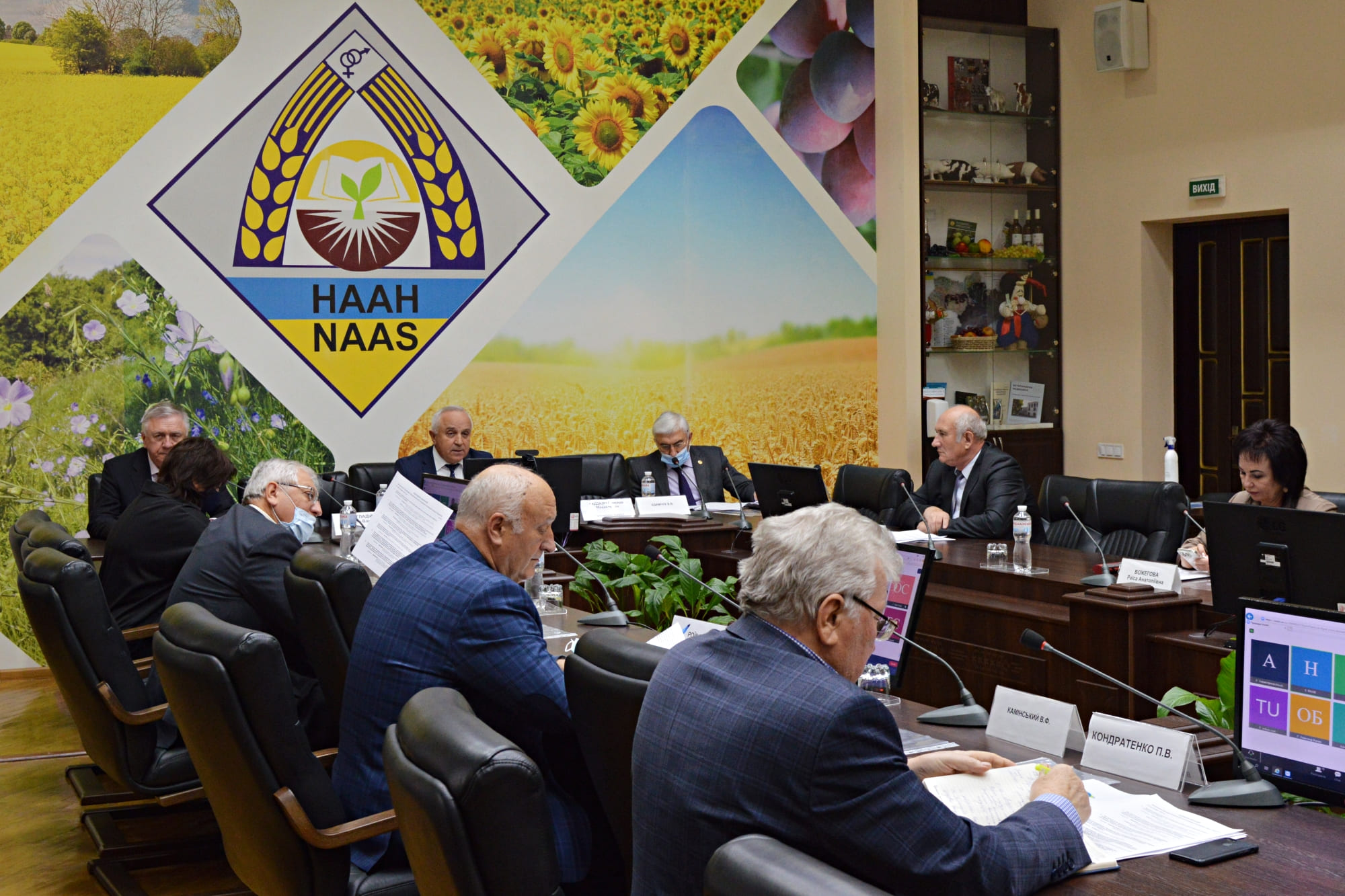 Відбулося засідання Президії НААН, присвячене питанням стану вітчизняного насінництва