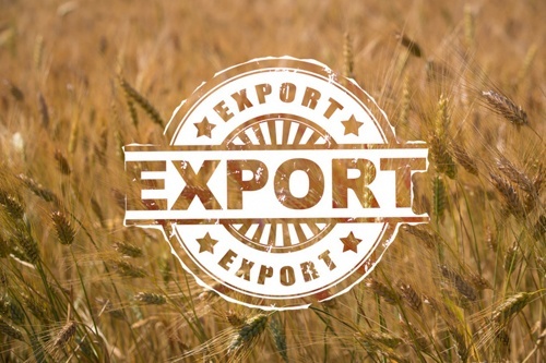Офіційно: У 2018/2019 МР Україна експортувала рекордний обсяг зернових, – 50.4 млн тон