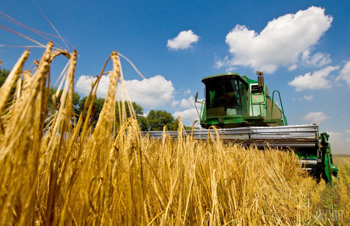 Аграрії всіх областей України розпочали збирання ранніх зернових та зернобобових культур