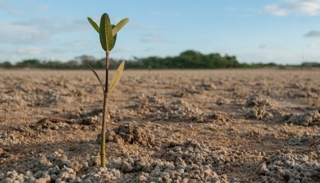 �� ��������� �������� � ����� ��������� ������� �������� 11 �������, � ����