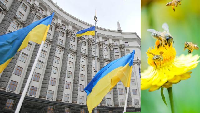 Уряд вперше запровадив державну підтримку бджільництва Уряд вперше запровадив державну підтримку бджільництва