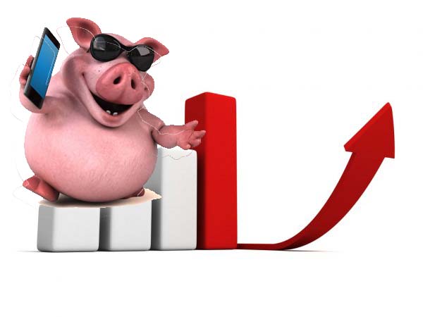 В Україні сплеск імпорту свинини – у травні м’яса свиней імпортовано втричі більше, ніж попереднього місяця