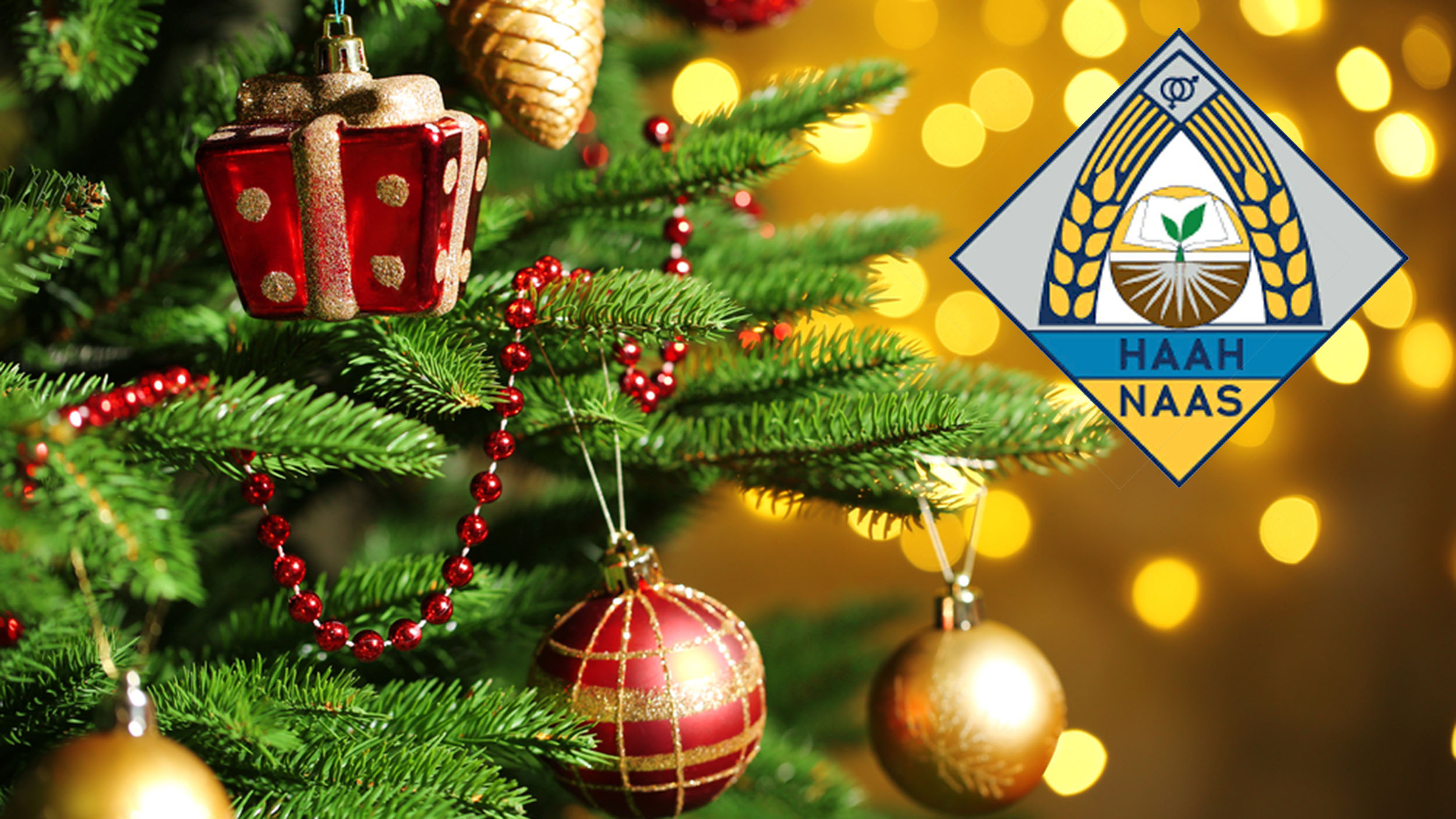 �������� ������ � ����� ����� �� г����� ���������! 