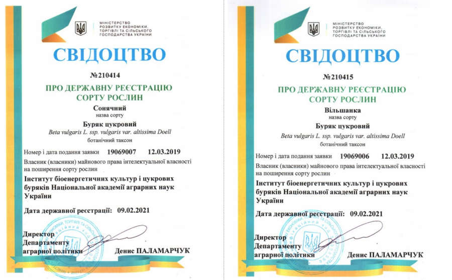 ��� ���������� �������� ��������� �������������� ������� � �������� ������ ����  