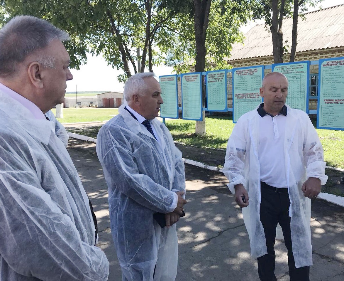 Ярослав Гадзало: Мета на 2025 рік — довести поголів’я молочних корів до 2,76 млн голів