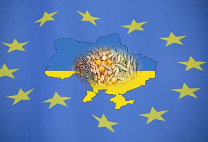 Визнання української системи сертифікації насіння еквівалентною вимогам ЄС: шанси і виклики – Інститут аграрної економіки