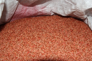 ��� ����������� ���� ������ ������ ������� �� ������ 2021 ���� � ������ �� ��������� ����