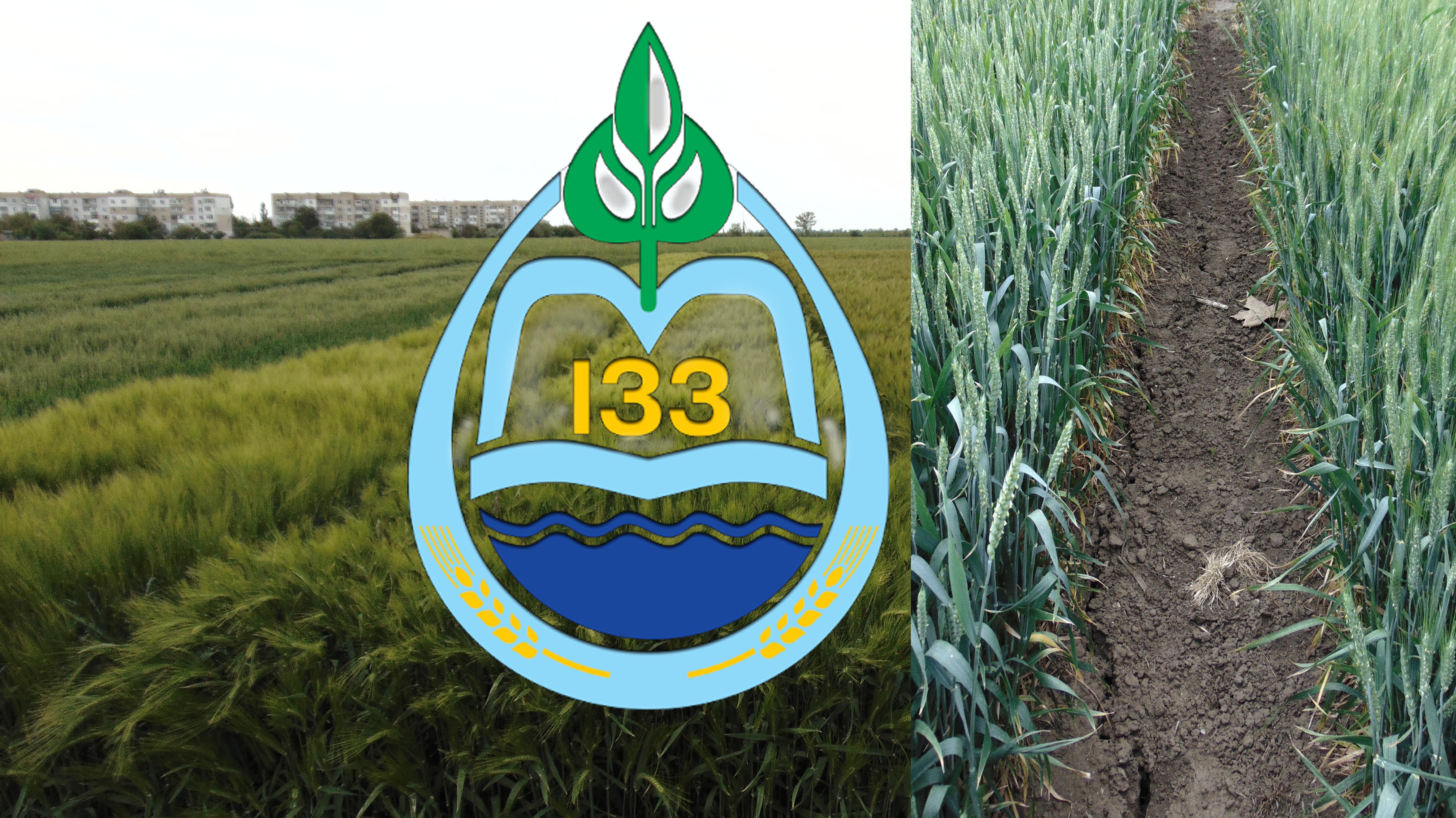НААН повідомляє про проведення Міжнародного дня поля «Інновації в сільському господарстві півдня України»