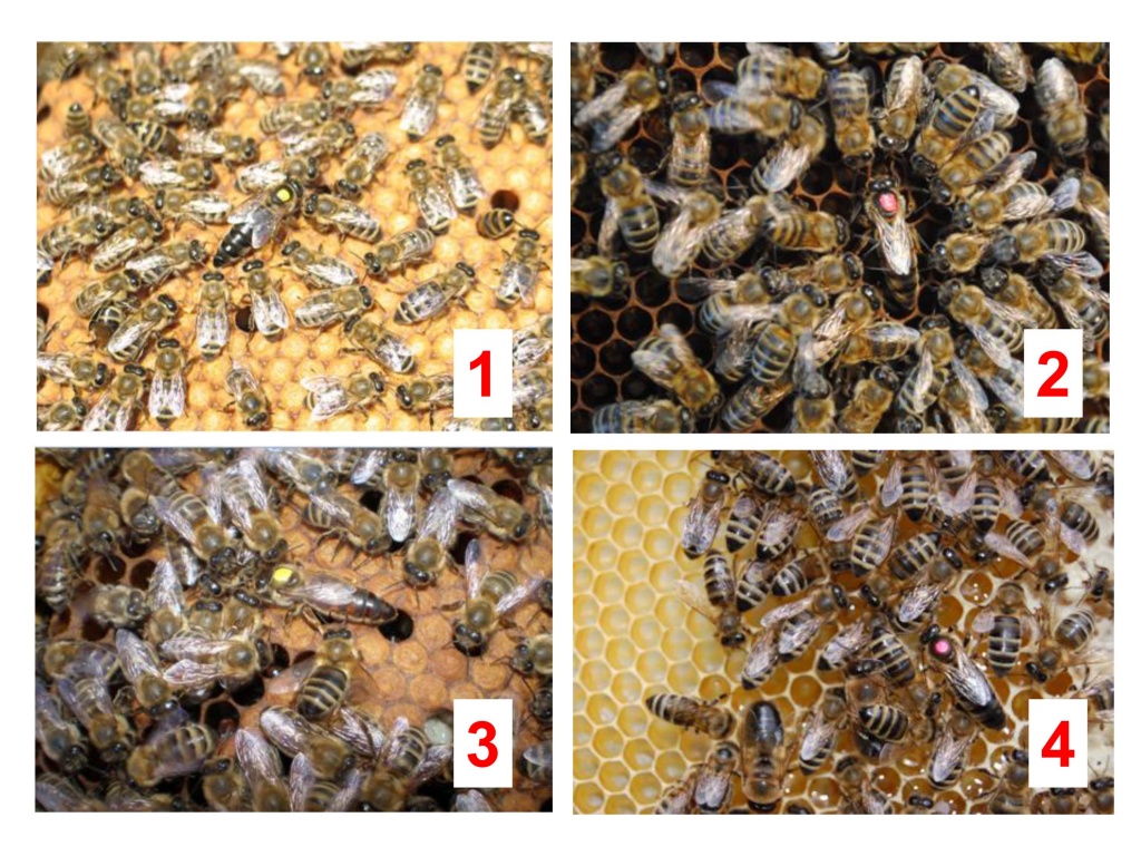 Презентация1_1.jpg Презентация1_1.jpg