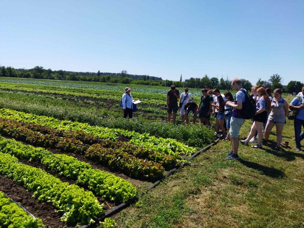 IMG-eced01d1143dd5fcfebd7f4789def6ef-V.jpg IMG-eced01d1143dd5fcfebd7f4789def6ef-V.jpg